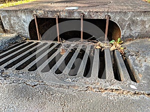 Cement sewage water grate with leaves