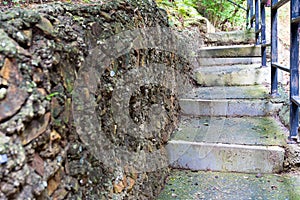 Cement stairway in the forest