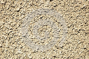 Cement texture #2