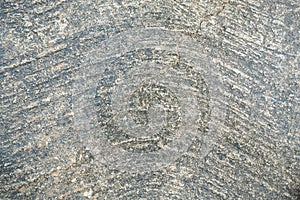 Cement texture background.