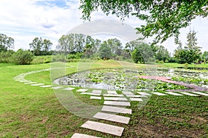 Cement walk way around lotus pond