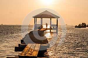 Cement walkway and pavilion nature trail mangrove forest with Light Sunrise