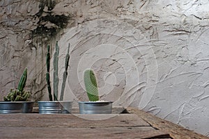 Cement wall decorative with cactus and rough wooden table. Have some space for write wording