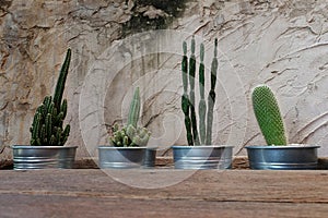 Cement wall decorative with cactus and rough wooden table. Have some space for write wording