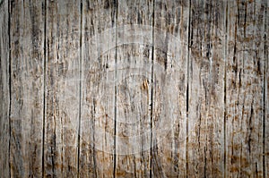 Cement wall imitate wood photo