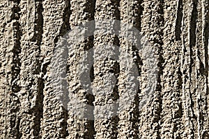 Cement wall texture dirty rough grunge background