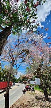 Cemented Road in Mindanao, Philippines