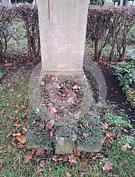 A cementry in autumn