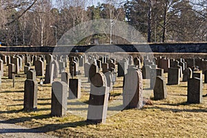 Cemetary in the fall in the morning