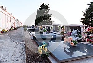 Cemetary graves flowers and tombstone peace place