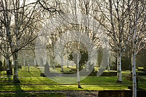 Cemetary morning peace