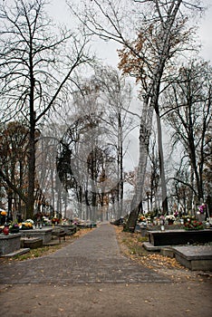 Cemetery