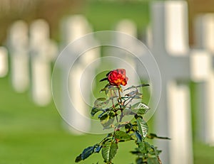 Cemetery