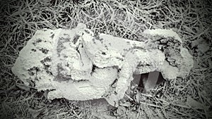 Cemetery angel statue