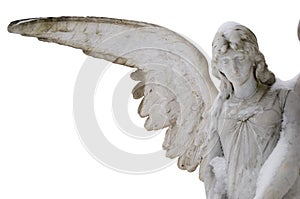 Cemetery angel in winter