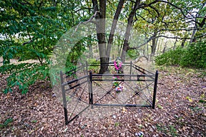 Cemetery in Chernobyl Zone