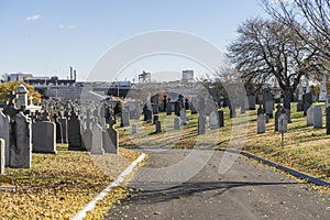 A cemetery in the city