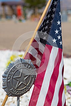 Cemetery in the country with flag