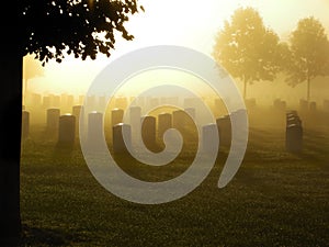 Cemetery in the Fog