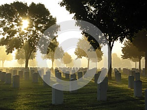 Cemetery in the Fog