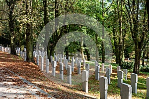 Hřbitov v les v polsko bílý náhrobky připomínat oběti z válka 