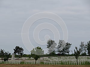 cemetery full of military crosses fallen in the war order photo