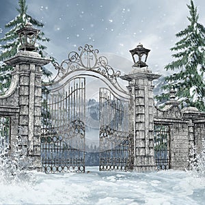 Cemetery gate in a winter forest