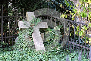 Cemetery in Germany with old graves