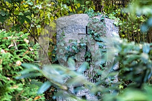 Cemetery in Germany with old graves