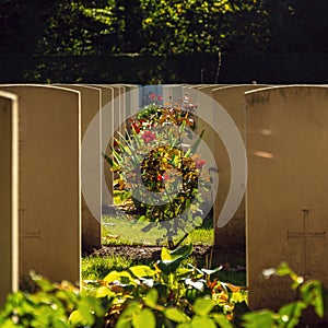 Cemetery graveyard on spring time
