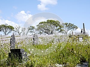 Cemetery on a hill surrounded by wildflowers