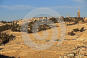 Cemetery and Homes on the Mt. of Olives