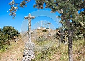 Cemetery photo