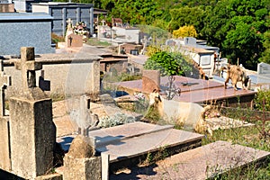 Cemetery in little Corsican mountain village