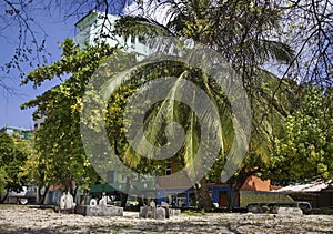 Cemetery in Male. Republic of the Maldives