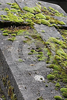 Cemetery of Montparnasse