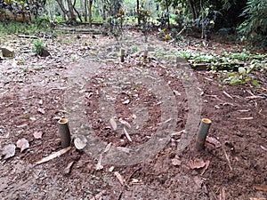 cemetery in my village