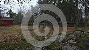 Cemetery Next to the Church