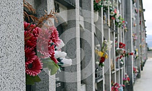 Cemetery Pamplona. photo