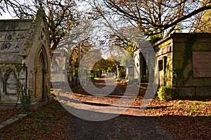 Cemetery path autumn photo