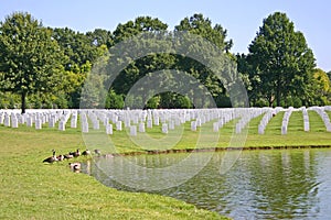 Cemetery & Pond