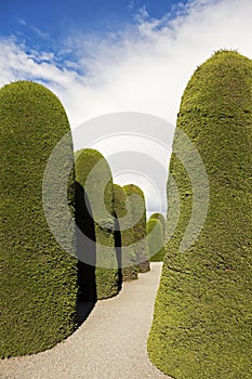 Cemetery of Punta Arenas