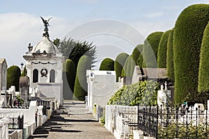 Cemetery of Punta Arenas photo