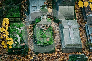 cemetery of PÃ¨re Lachaise photo