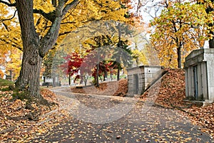 Cemetery Road Past Mausoleums in Fall