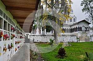 Cemetery of Salamina, in Colombia