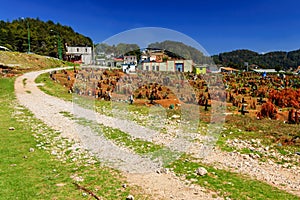 Cemetery, San Juan Chamula, Mexico