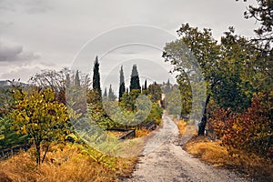 Cemetery in Signagi at autumn