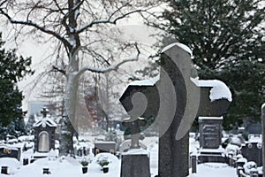 Cemetery snow