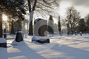 Cemetery Snow